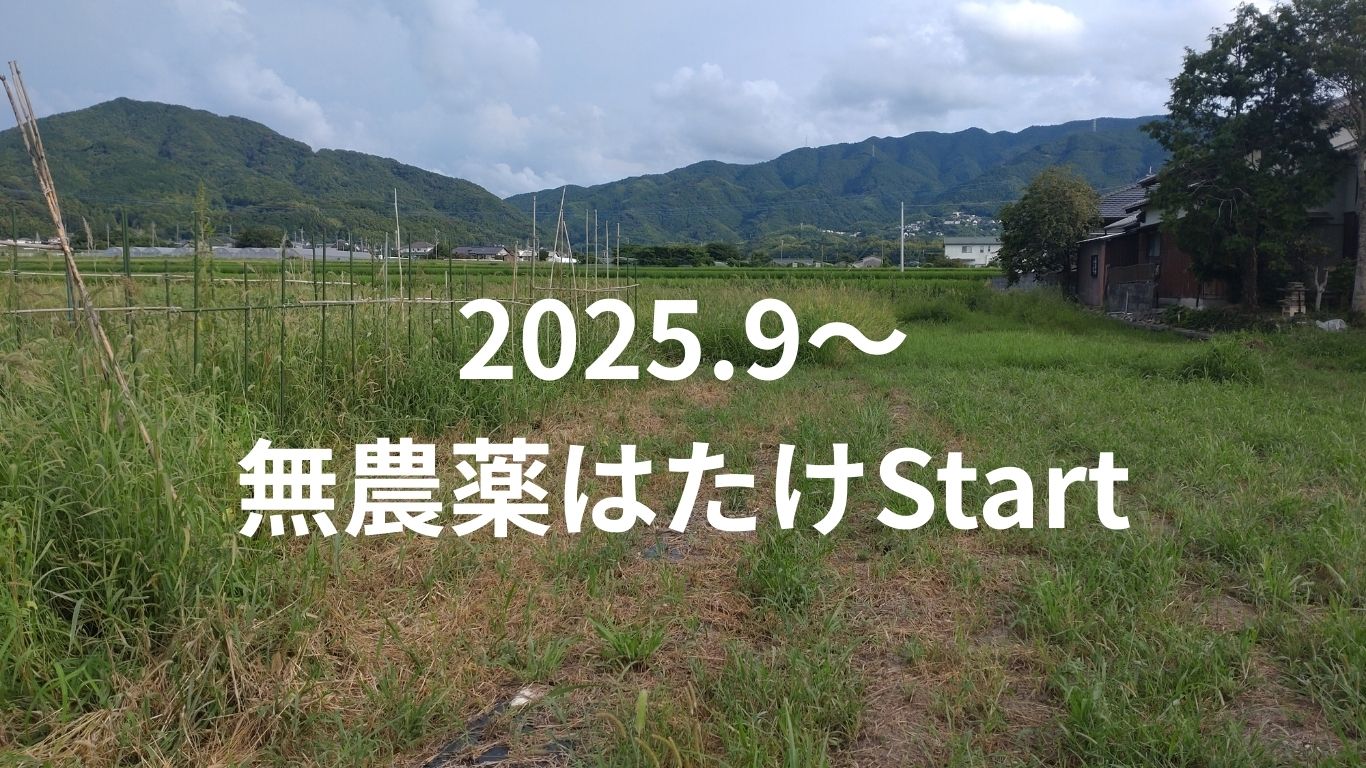 3060