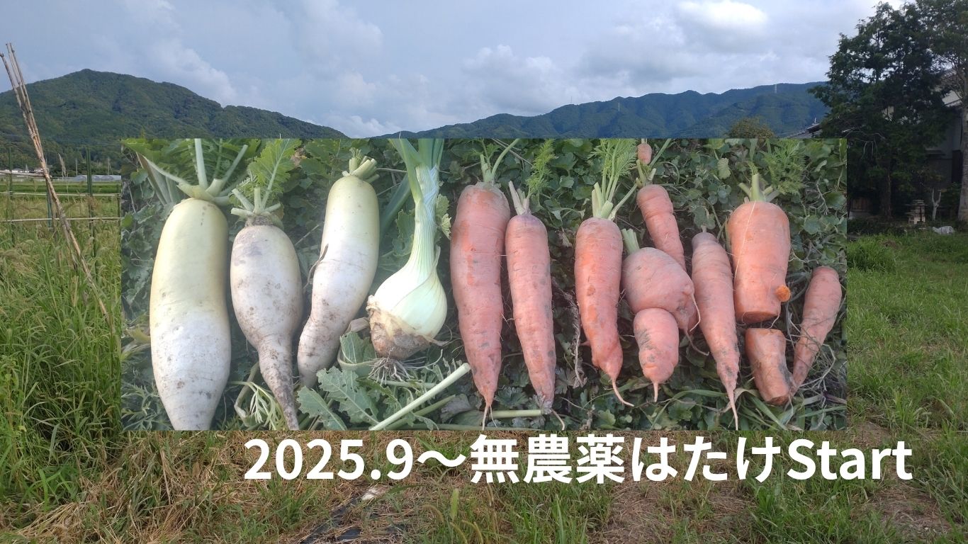 3540